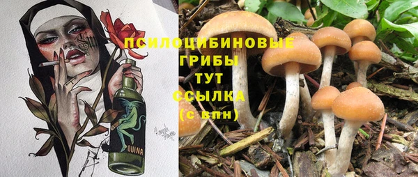 прущие крисы Горнозаводск