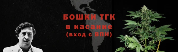 стафф Горняк