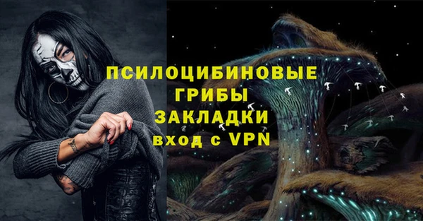 винт Горно-Алтайск