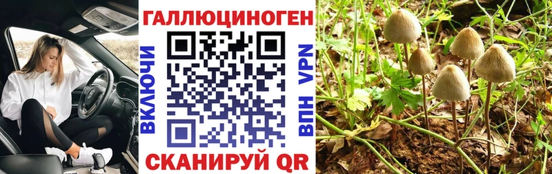 Псилоцибиновые грибы ЛСД  Купить где  Курганинск 